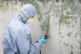 Best Air Quality Testing for Mold Spores  in The Plains, OH